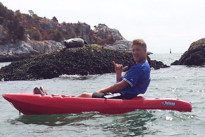 Morning Kayak & Seal Cruise in Vancouver - Kayak or stand-up paddle board: freedom, not pressure