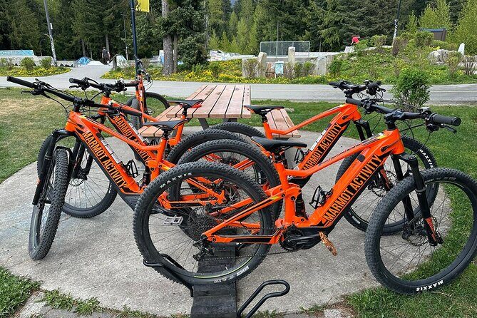 Mountain Breeze Tour - Mountain E Bike - Whistler Marmot Activity - The Scenic Route: Green Lake, Mountains, River, and Cedar Trees