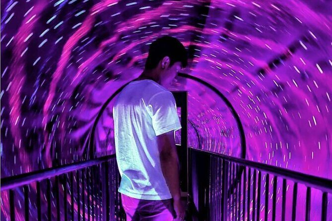 Museum of Illusions Montreal - 70+ Illusions to Explore - Key highlights before you go