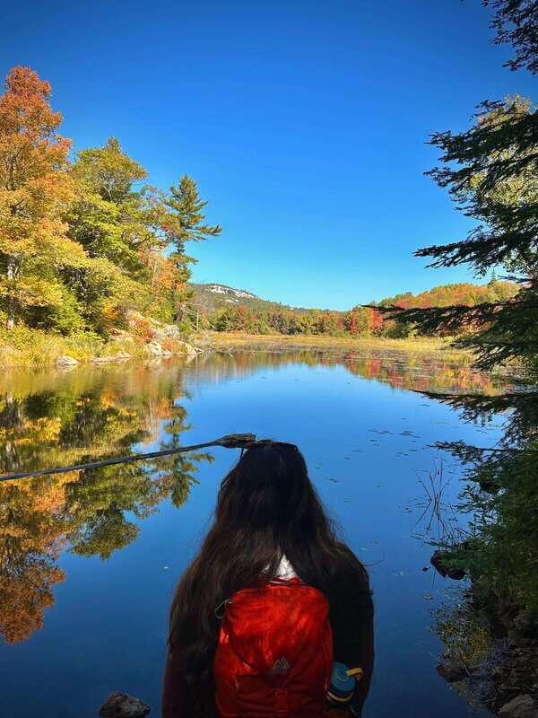 Muskoka: High Falls, Hardy Lake, & Huckleberry Rock Tour - High Falls and Potts Falls: The Niagara of the North Experience