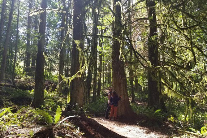Mystical Rainforest Tour - Forest Magick - The 650-Year-Old Douglas Fir Finish: Why It Hits Hard