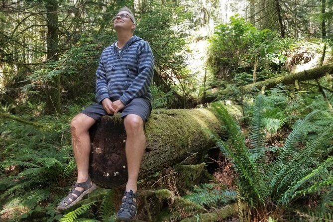 Mystical Rainforest Tour - Forest Magick - How the Timing Works (and What to Plan Around)