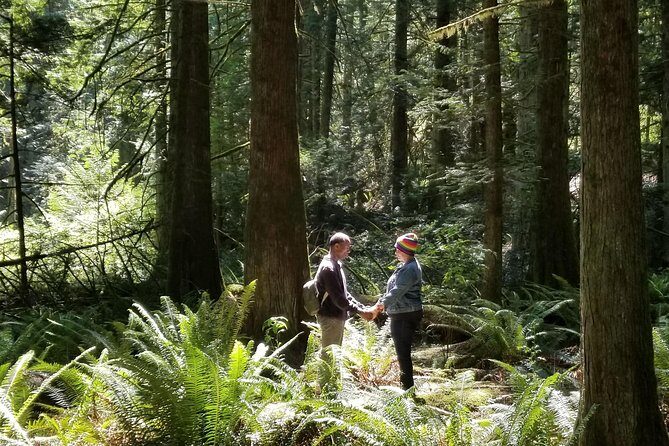 Mystical Rainforest Tour - Forest Magick - Stop 2: Francis King Regional Park Walk With Nature Immersion Techniques