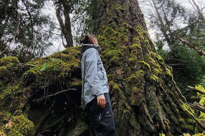 Nanaimo: Cathedral Grove, Waterfalls and Animal Sanctuary - North Island Wildlife Recovery Centre: Learn the Ecosystem by Meeting the Animals