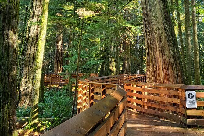Nanaimo: Cathedral Grove, Waterfalls and Animal Sanctuary - Little Qualicum Falls in 30 Minutes: Power at a Horseshoe Bend