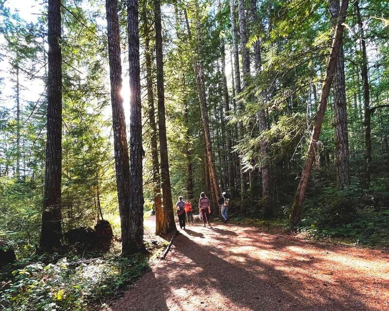 Nanaimo: Cathedral Grove, Waterfalls & Animal Sanctuary - Key highlights to know before you go