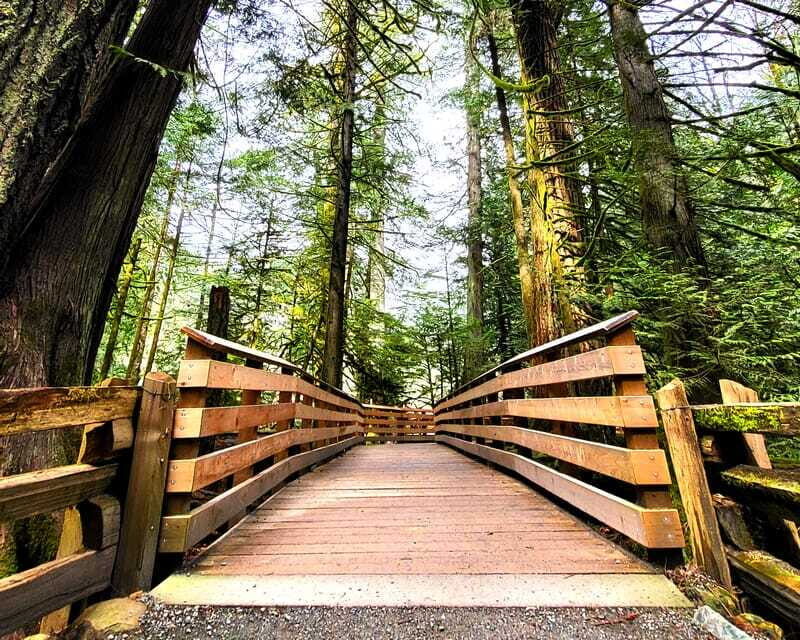 Nanaimo: Cathedral Grove, Waterfalls & Animal Sanctuary - How hard is the hiking, really
