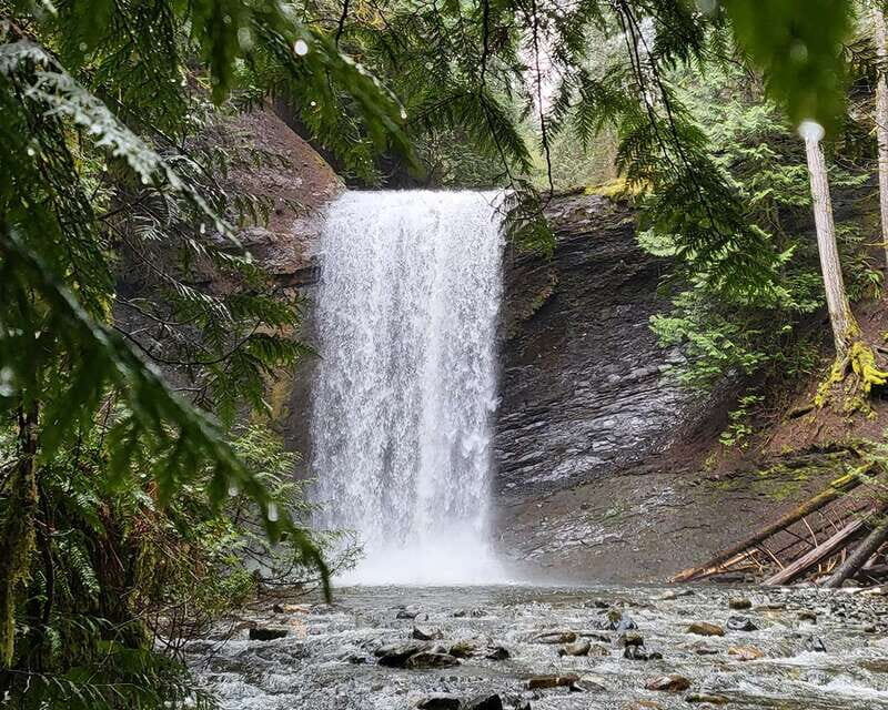 Nanaimo: Cathedral Grove, Waterfalls & Animal Sanctuary - Why this Nanaimo tour works as a Mid-Island reset
