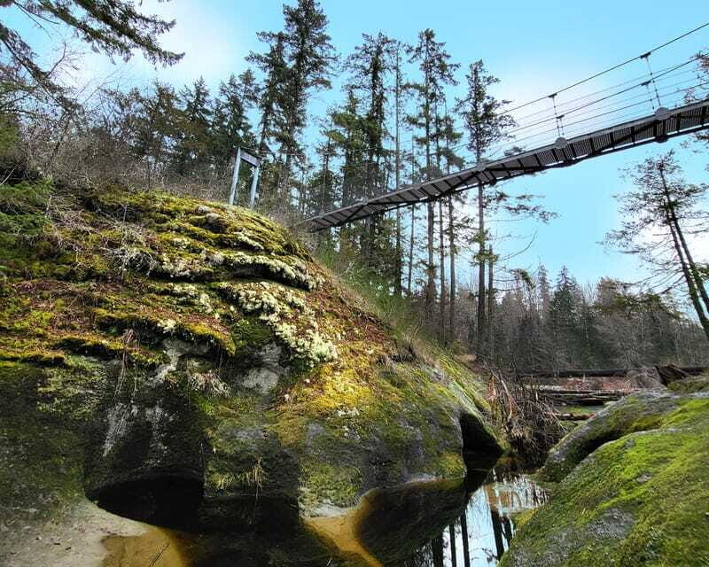 Nanaimo: Cathedral Grove, Waterfalls & Animal Sanctuary - Top Bridge and the Little Qualicum Falls viewpoint and walk