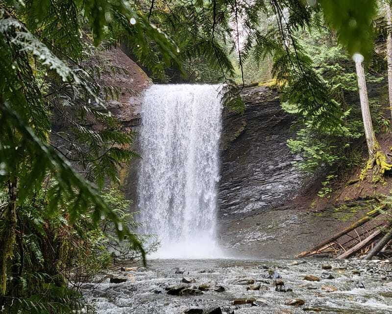 Nanaimo: Cathedral Grove, Waterfalls & Animal Sanctuary - MacMillan Provincial Park and Cathedral Grove’s 1,000-year-old giants