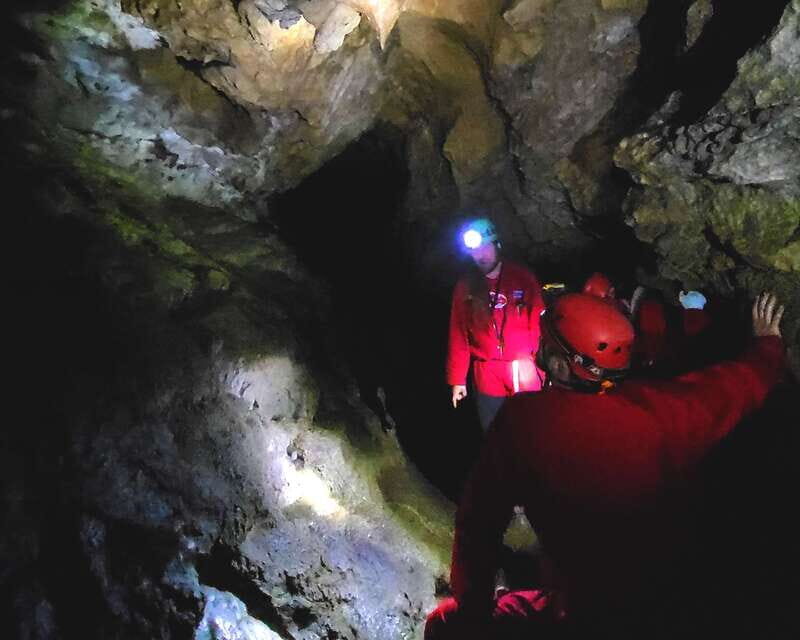 Nanaimo: Cathedral Grove, Waterfalls & Animal Sanctuary - Horne Lake Caves: a challenging cave tour with pros