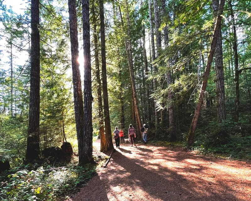 Nanaimo: Cathedral Grove, Waterfalls & Animal Sanctuary - North Island Wildlife Sanctuary: rescued animals and real stories