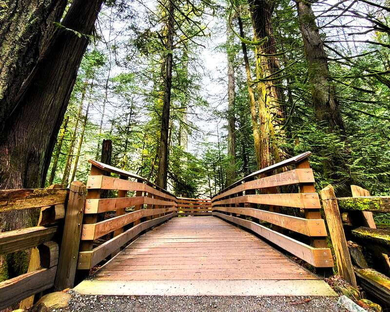 Nanaimo: Cathedral Grove, Waterfalls & Animal Sanctuary - Pickup from Nanaimo and the Jeep/SUV travel rhythm