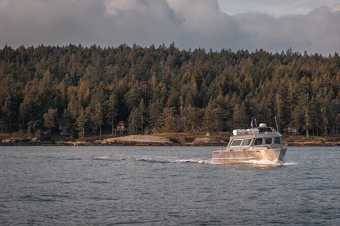 Nanaimo Whale Watching in a Semi-Covered Boat - Checking In at 90 Front St and Settling In for a 4-Hour Sea Day