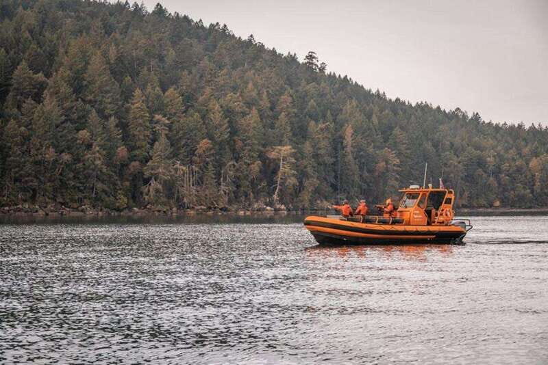 Nanaimo: Whale Watching Open Boat Tour - Getting on the Boat: Check-In at 90 Front St #5 and What Weather Means
