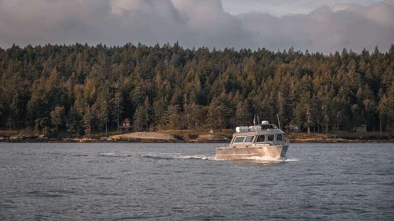 Nanaimo: Whale Watching Semi-Covered Boat Tour - From Nanaimo’s seawall to the Salish Sea in four hours