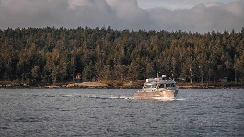Nanaimo: Whale Watching Semi-Covered Boat Tour - Beyond whales: seals, sea lions, birds, and the full food-web view