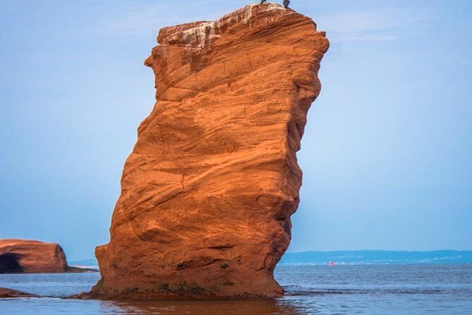 New Brunswick Shore Excursion: Bay of Fundy and More Highlights Tour - Key Things You’ll Notice on This Tour
