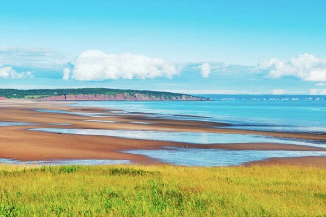 New Brunswick Shore Excursion: Bay of Fundy and More Highlights Tour - Price and Value: What $168.11 Buys You