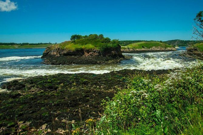 New Brunswick Shore Excursion: Bay of Fundy and More Highlights Tour - What to Bring So the Day Feels Easy