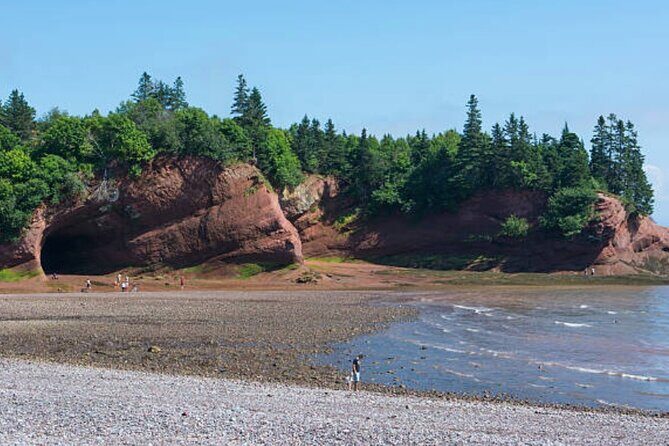 New Brunswick Shore Excursion: Bay of Fundy and More Highlights Tour - Should You Book This Bay of Fundy and Saint John Shore Trip?