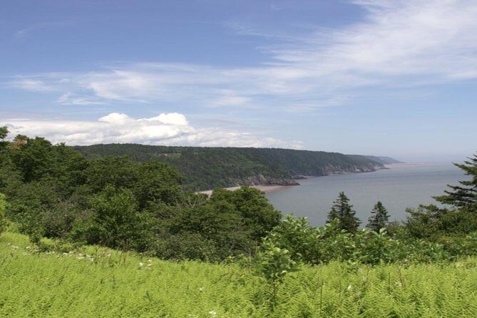 New Brunswick Shore Excursion: Bay of Fundy and More Highlights Tour - Saint John Quick Hits: How Much Port Sightseeing You’ll Actually Get