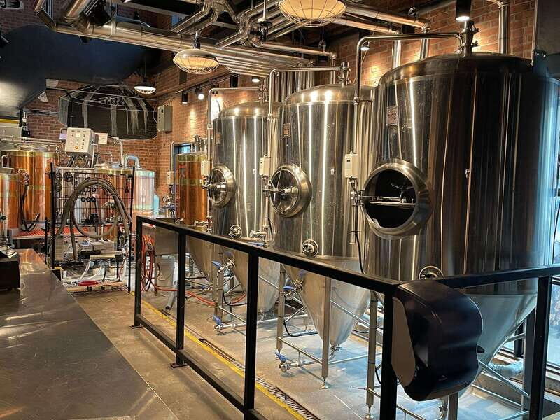 Newfoundland Beer Tasting Tour in St. John's - The tasting lesson: how to notice more than sweetness