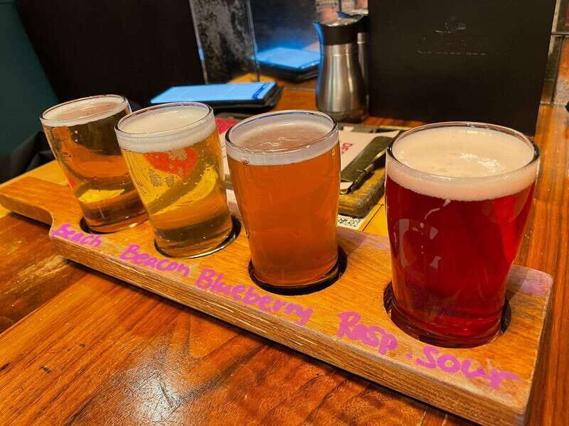 Newfoundland Beer Tasting Tour in St. John's - What you drink: seven Newfoundland beers that actually teach you flavors