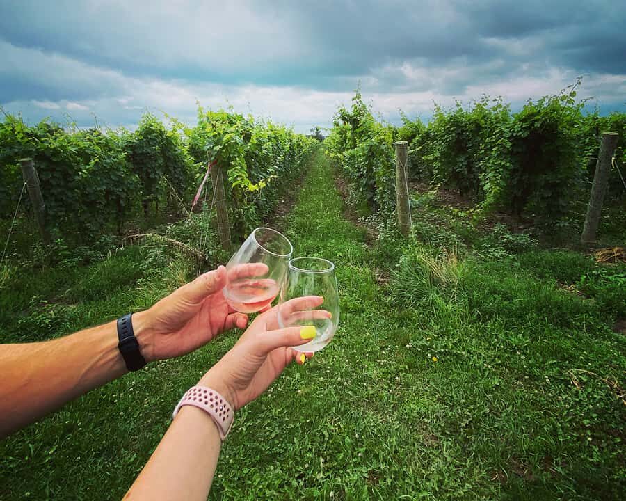Niagara: A Twilight Wine Adventure With 3-Course Dinner - Key Points Worth Noticing