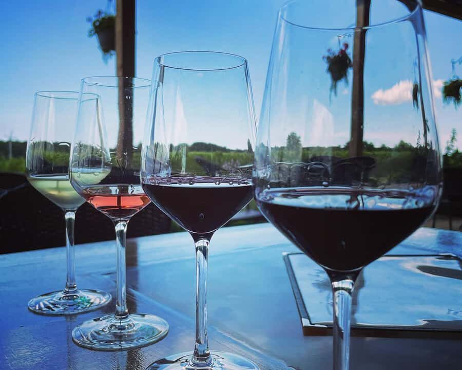 Niagara: A Twilight Wine Adventure With 3-Course Dinner - Winery Stops #3 and #4: Two 45-Minute Tastings for Real Comparison