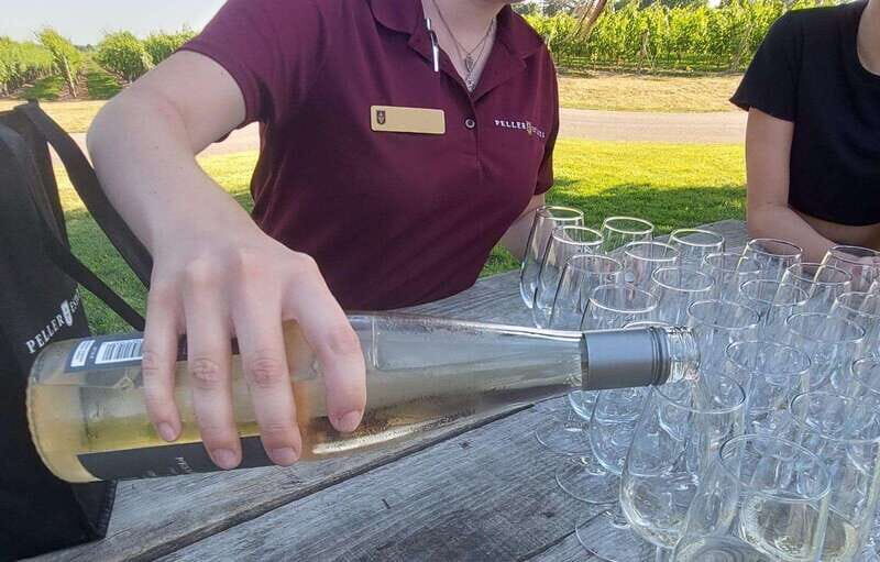Niagara Falls: Canada with a Portuguese-speaking guide - Konzelmann Estate Winery on Lake Ontario: Short, Sweet, and Purposeful