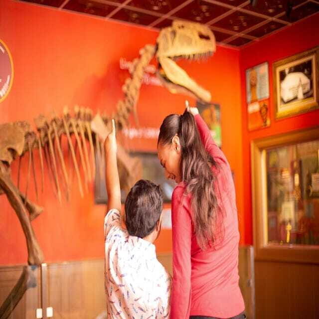 Niagara Falls: Ripley's Believe It or Not! Museum Entry - Who Should Go (and Who Might Want to Skip)