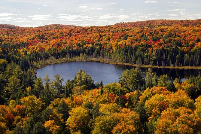 Niagara Falls Sightseeing Day Tour from Toronto with Boat Cruise - Stop 4: Maple Leaf Place as the quick Canadian detour