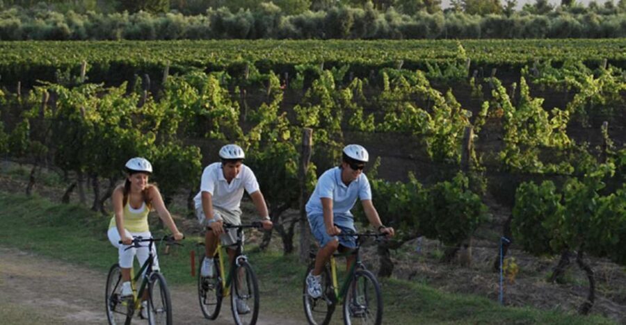 Niagara-on-the-Lake: Bicycle Tour with Wine Tasting - Pricing and What You’re Really Buying for $114