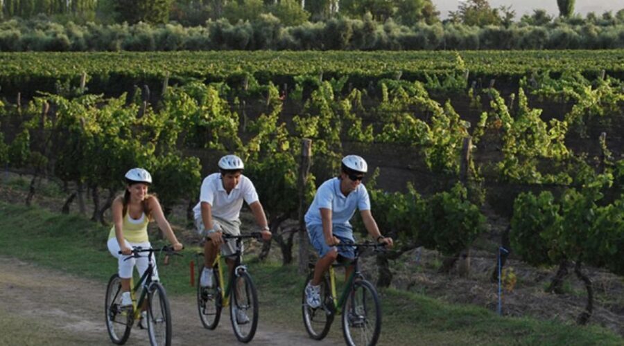 Niagara-on-the-Lake: Bicycle Tour with Wine Tasting - The Cycling Portion: Relaxed Riding Over 18–23 km