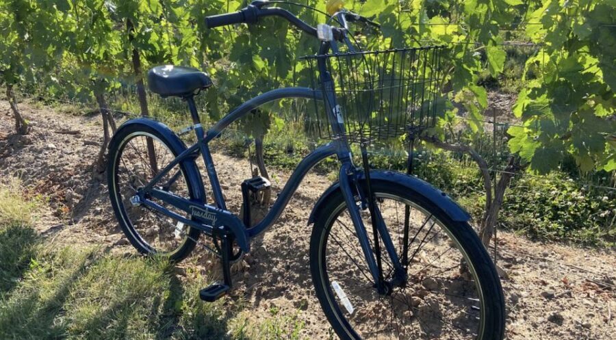 Niagara-on-the-Lake: Bicycle Tour with Wine Tasting - The Picnic Lunch at 12:30: Fuel for the Afternoon