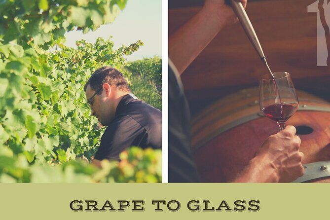 Niagara-on-the-Lake Grape to Glass Wine Experience - Key things that make this tour worth your time