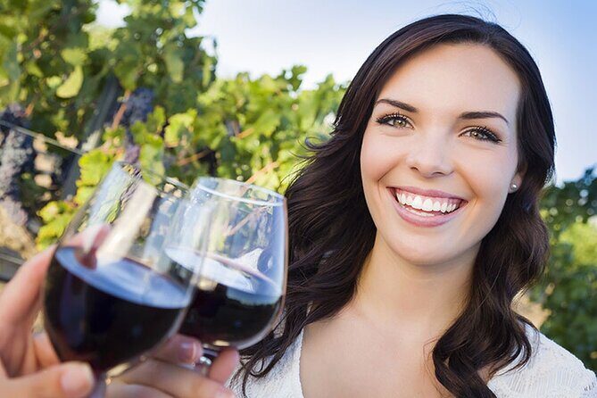 Niagara-on-the-Lake Small Group Wine Tour with Picnic Lunch - Hotel Pickup and Route: From Niagara Stone Rd to Wine Country