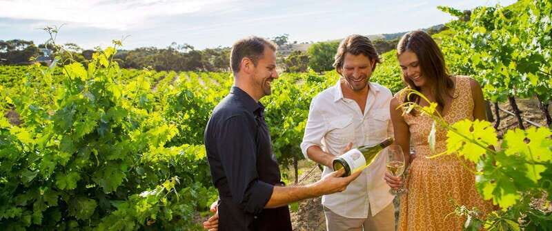 Niagara-on-the-Lake: Sunset Wine Tour with Dinner - Key highlights at a glance