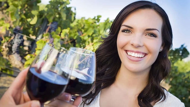 Niagara-on-the-Lake: Sunset Wine Tour with Dinner - Your 330-minute flow: pickup, wineries, then Havanna in Niagara Falls