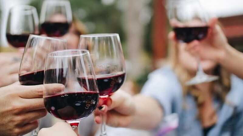 Niagara-on-the-Lake: Wine Tour with Tastings and Lunch - Stop Two and Stop Three: Niagara Ice Wine and decision time