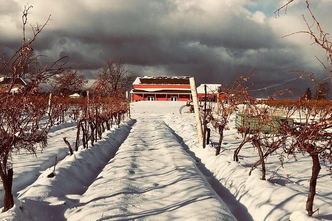 Niagara's Decadent Sparkling and Icewine Tasting - What you actually get for the price: value math that makes sense