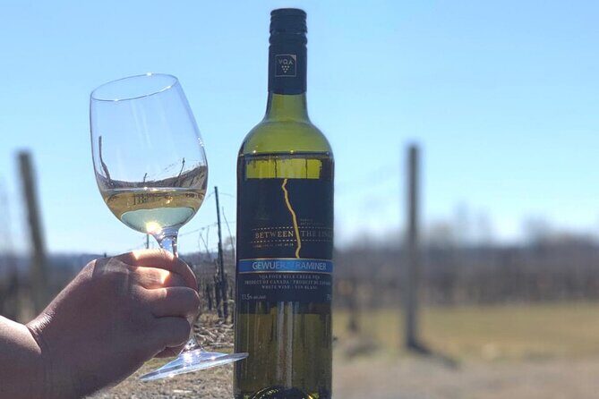 Niagara's Decadent Sparkling and Icewine Tasting - Who this tasting fits best (and who should choose differently)
