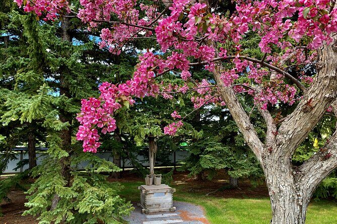Nikka Yuko Admission (Adults & Children) - The Friendship Bell at Henderson Lake: small ritual, big payoff
