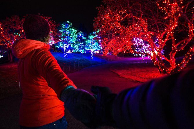 Nikka Yuko Japanese Garden Winter Light Festival - Walking the Light Festival: Trees, Light Tunnels, and Fire Pits