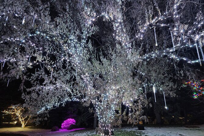 Nikka Yuko Japanese Garden Winter Light Festival - Price and What You Actually Get for $11.20
