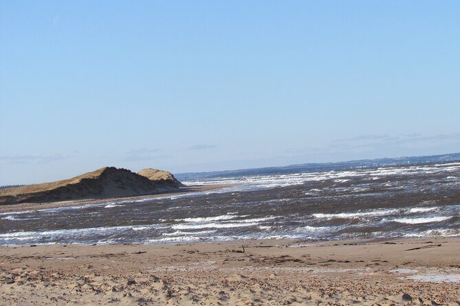 North Shore And More Private Tour - North Rustico: the working harbor vibe and lobster trapping demo