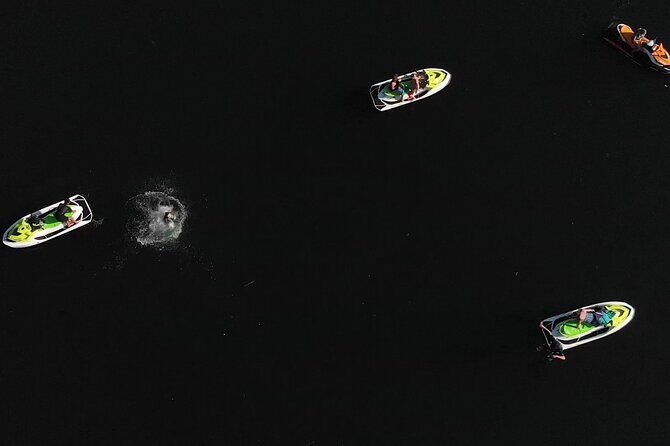 Ocean is Yours Seadoo Experience from Vancouver - Wildlife moment: Pam Rocks and the seal-colony payoff