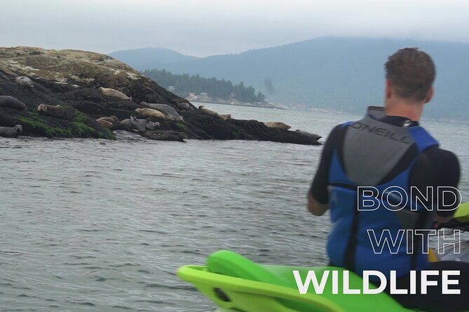 Ocean is Yours Seadoo Experience from Vancouver - Who this suits best (and who should reconsider)
