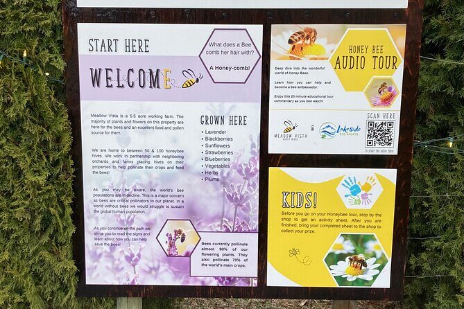 Okanagan Bee Tour and Lunch at Winery in Kelowna - Honey tasting: raw unpasteurized plus infused varieties